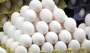 گلایه مینودشتی‌ها از نبود تخم‌مرغ با قیمت دولتی در بازار