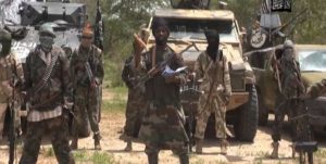 ۱۳ نفر در حمله «بوکوحرام» به کامرون حرام کشته شدند