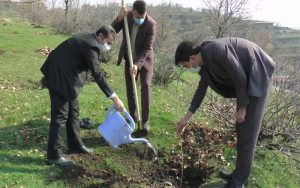 کاشت ۱۶ هزار درخت به یاد شهدا در طرح «نهال ایثار»