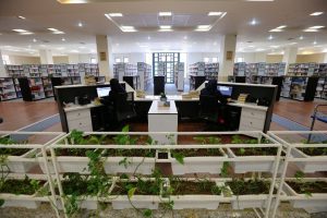 آغاز خدمات حضوری کتابخانه‌های عمومی کشور در مناطق نارنجی از هشتم خرداد