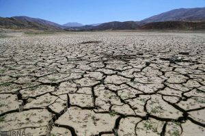 ضرورت اعلام شرایط اضطراری خشکسالی در کاشمر