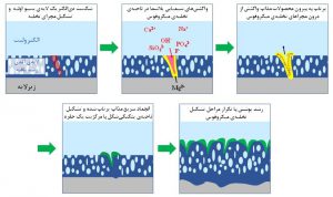 ایجاد ‌پوشش‌ زیست‌فعال آلیاژ منیزیم توسط محققان دانشگاه امیرکبیر