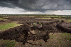 تخریب خاک منطقه مدیترانه‌ تهدیدی برای زیست جهانی