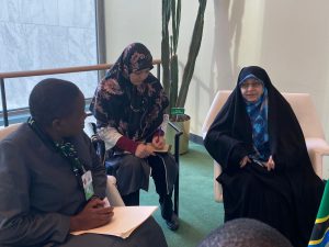 استقبال تانزانیا از پیشنهاد خزعلی برای آموزش مهارت آموزی به زنان و دختران تانزانیایی